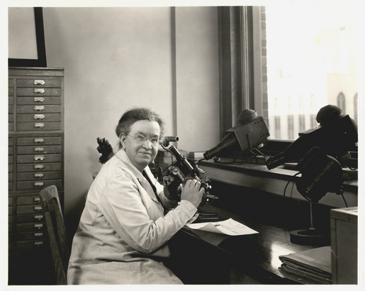 Sabin at microscope Rockefeller smaller.jpg